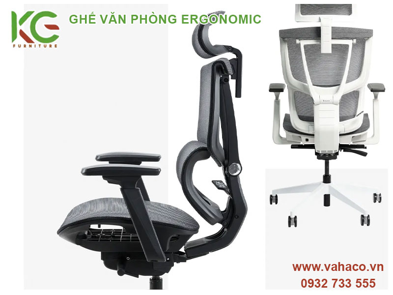 Ghế văn phòng Ergonomic công thái học